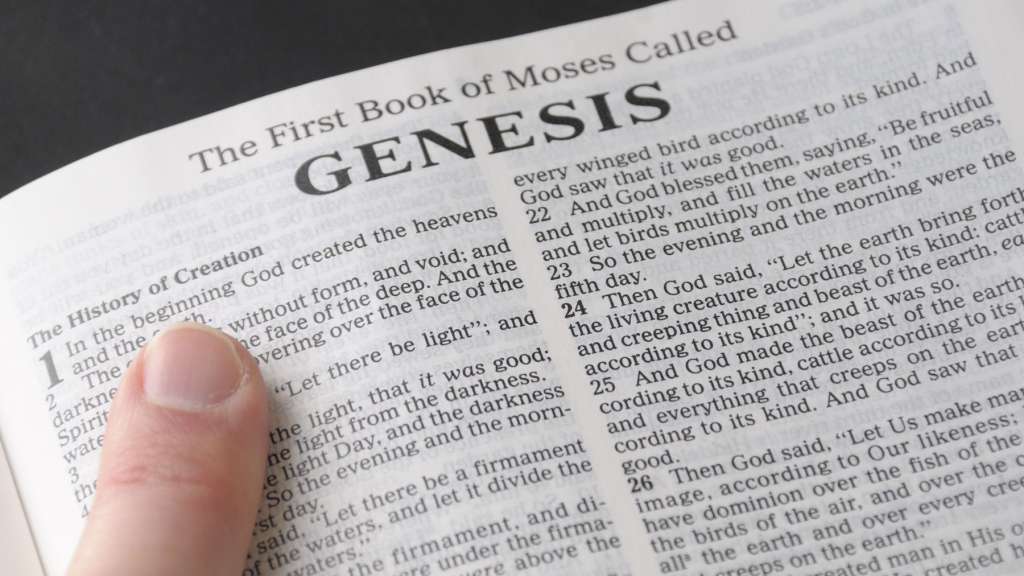 What Is the Book of Genesis 36962 - What Is the Book of Genesis?